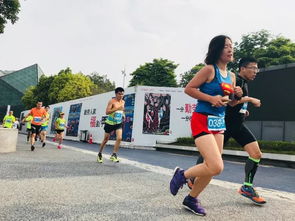全民健身月 活动丰富多彩 一路奔跑,深圳市第26届长跑竞赛成功举办